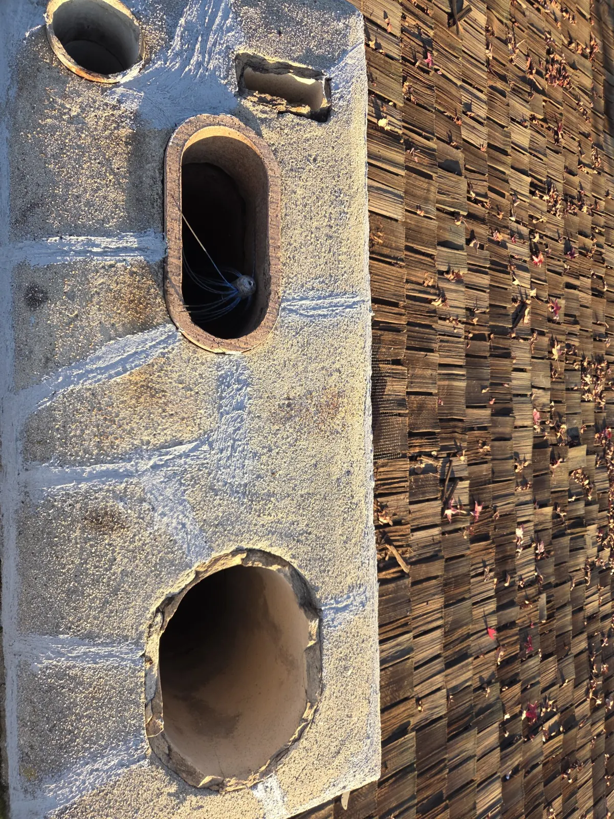 Top view of a chimney crown with multiple flues and a chimney sweep brush inside one flue, next to a wood shake roof
